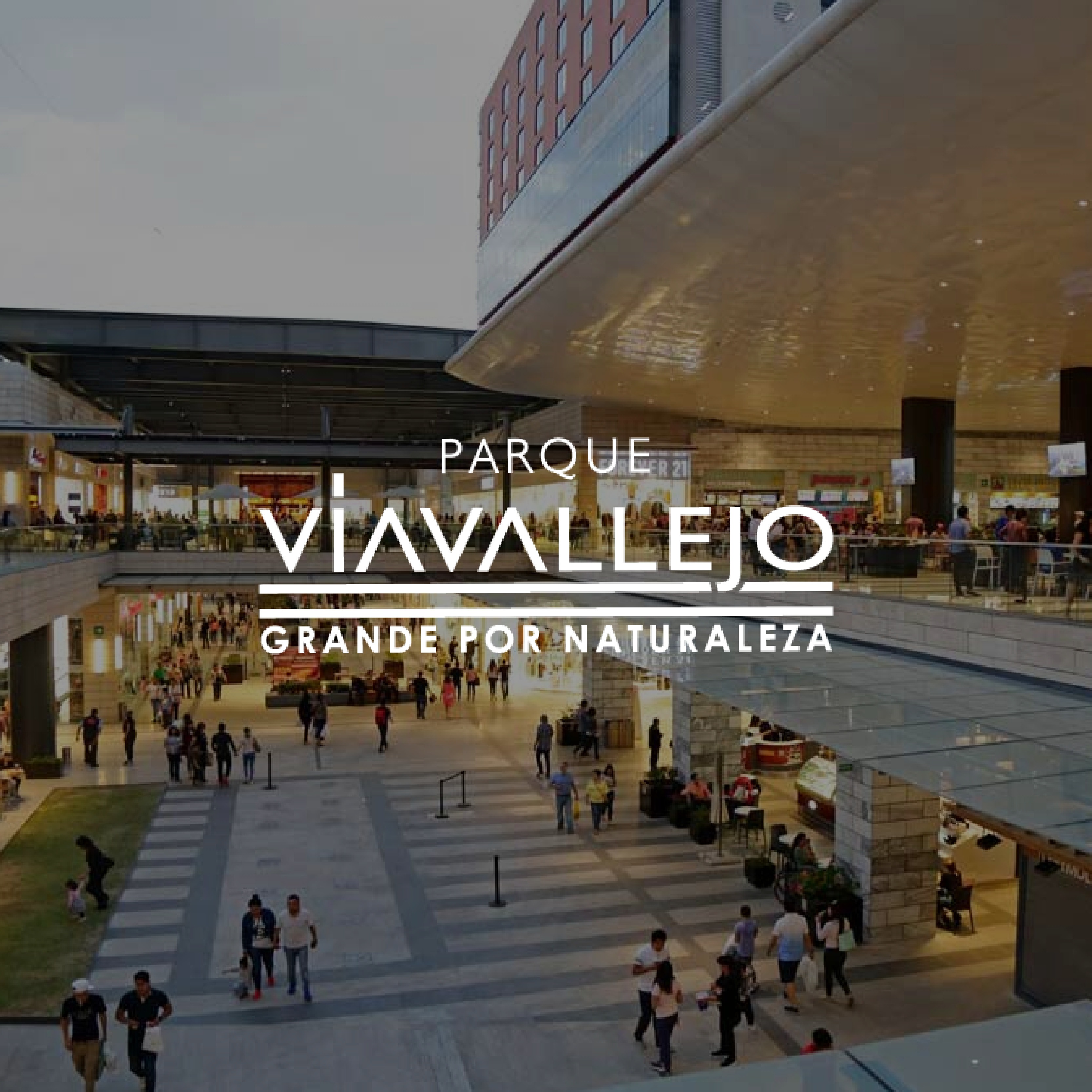 Presentación Parque Via Vallejo